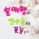 카페라브리 이미지