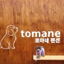 토마네 이미지
