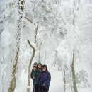 모라중학교 이미지