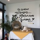 함개하자냥 이미지