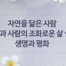 푸른꿈고등학교 이미지