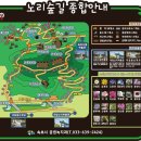 시립박물관 노리숲길 이미지