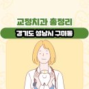 서울패밀리치과의원 | 경기도 성남시 구미동 교정치과 총정리