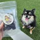 독트럴간식 이미지