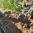 도경농장 이미지