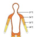 신흥동001 이미지