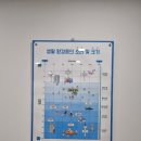 독일귀편한보청기 이미지