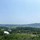 강쥐엄마네 이미지