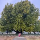 서곡짬뽕 이미지