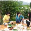 경순목장 Daum카페