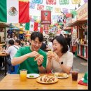 타코랜드 - 북구 | 타코랜드