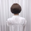 브이컷트