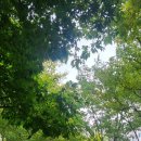 해담어린이집 이미지