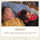 양주그린테크 | 2025년 여름 끼링이의 내돈내산 쇼핑 후기
