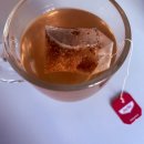 요기(Yogi) | Yogi tea Pumpkin Chai 요기티 펌킨차이 후기