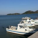 당항 이미지