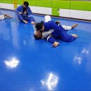 용인대청룡유도관 네이버블로그