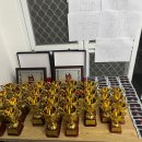 칼슨그레이시 코리아 이미지