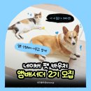 땡큐멍냥 | [공지] 🏆네이버 펫 바우처 앰배서더 2기 모집 시작🐱 &#34;멍냥 집사 200분 기다려요!&#34;