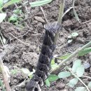 주홍농장 이미지