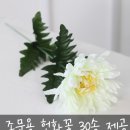 [장례일지] 서울쉴낙원 장례식장 장례후기~!(2남2녀 장례비용)