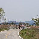 낙동강변27 이미지