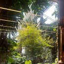 장수천공원 | [화성 팔탄 맛집] 아이와 가기 좋은 '장수천한방민물장어 화성점' 무항생제 장어, 숯불달갈비 외식 후기