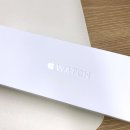 애플워치 10, 밀레니즈 루프(Milanese Loop) 사용 후기