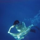Underwater Intimacy 이미지