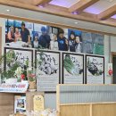성원마늘약선요리 | 단양 현지인 추천 떡갈비 맛집 &#39;성원마늘약선요리&#39;