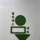 세움 | [서울 종로] 필라테스세움 방문후기🧘‍♀️🤍