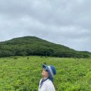 강선산방 | 제한된 인원만 갈수있는 인제 점봉산 곰배령 야생화 트레킹 복장 날씨 등산난이도