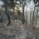 체력단련 | 진천 두타산 등산 후기/ 체력 단련과 힐링을 동시에