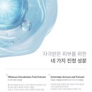 애프터메디 이미지