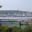 장생포야구장(주말) 이미지