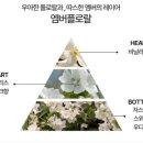 (주)에코스 | 당신의 머릿결을 지켜줄 최적의 선택/ 에코스라인으로 완성하는 건강한 모발 비결