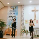 선영목장 Daum카페