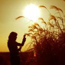 갈대이야기 이미지