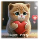 보금유통 이미지