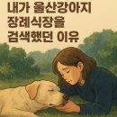 빛장례식장 | 울산강아지장례식장 ‘잘 보내주고 싶다’는 마음 하나로 시작된