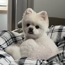 톡스미의원 이미지