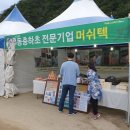 2019 횡성 청일 더덕축제, 후기