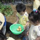 참빛농장 이미지