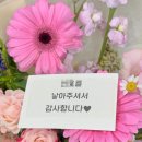 앙주드플레르