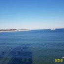 삼천리렌트카 이미지