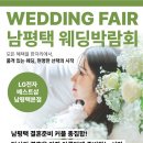 플러스웨딩결혼정보 이미지
