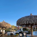 들꽃 | (전북)고창 들꽃카페수목원 후기｜정원 산책부터 온실, 포토존까지 즐긴 고창 카페