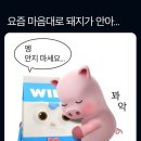 안아쥬