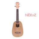 맑은 소리 우쿨렐레 이미지