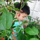 이튼스쿨어린이집 이미지